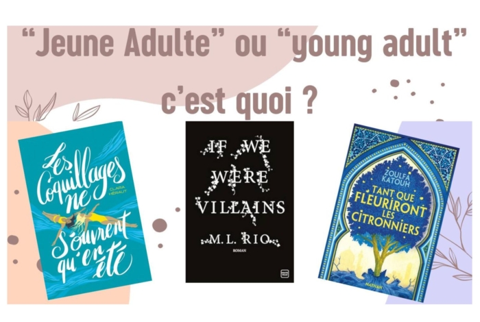 Bibliothèque : Jeune adulte