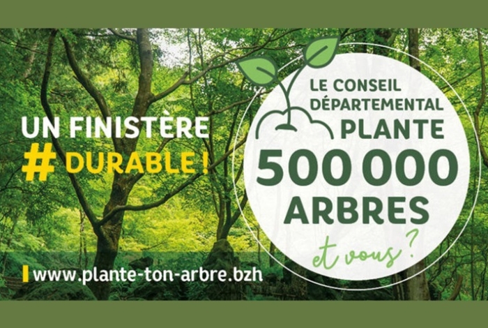 plan arbres